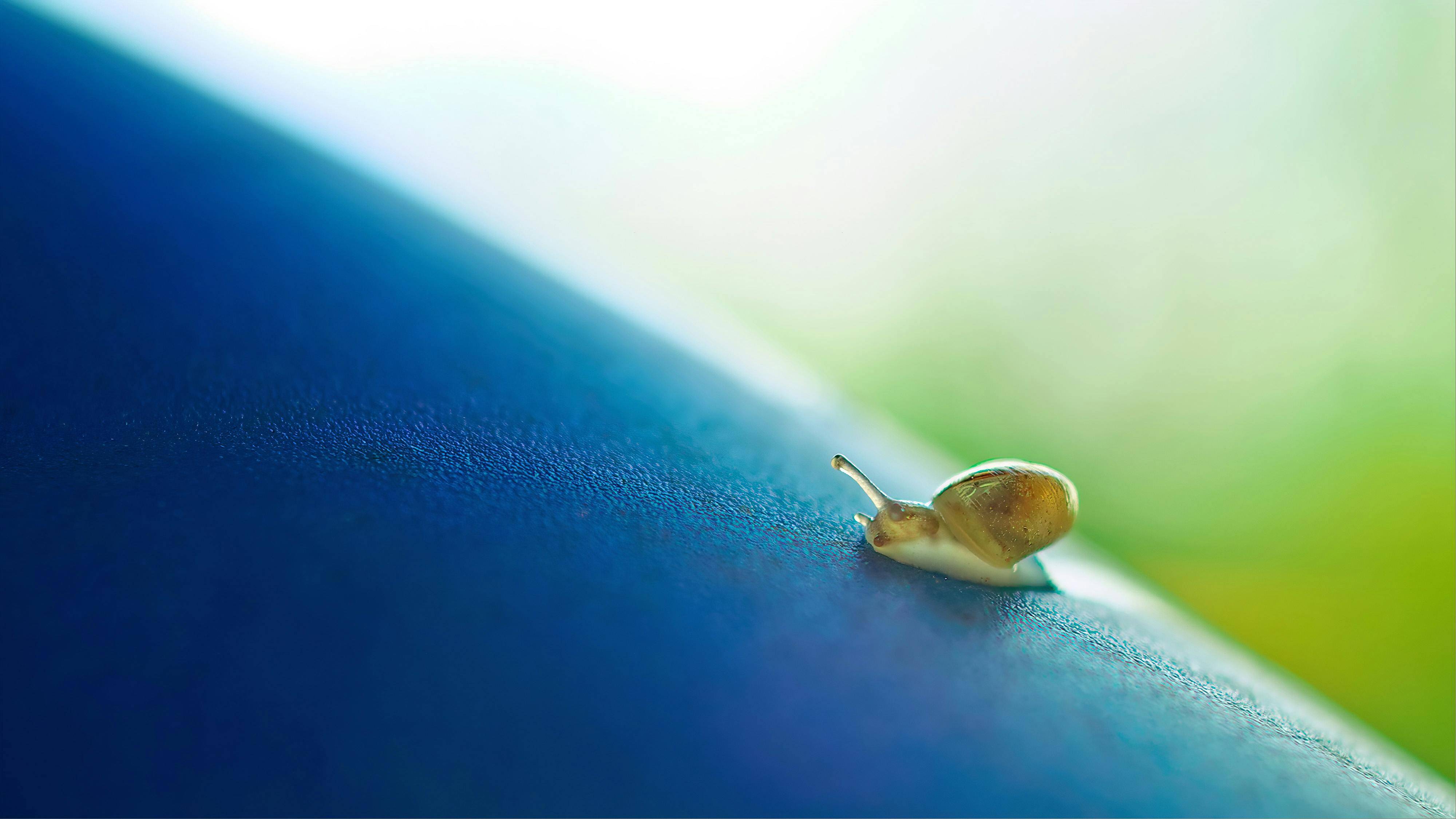 sluggish